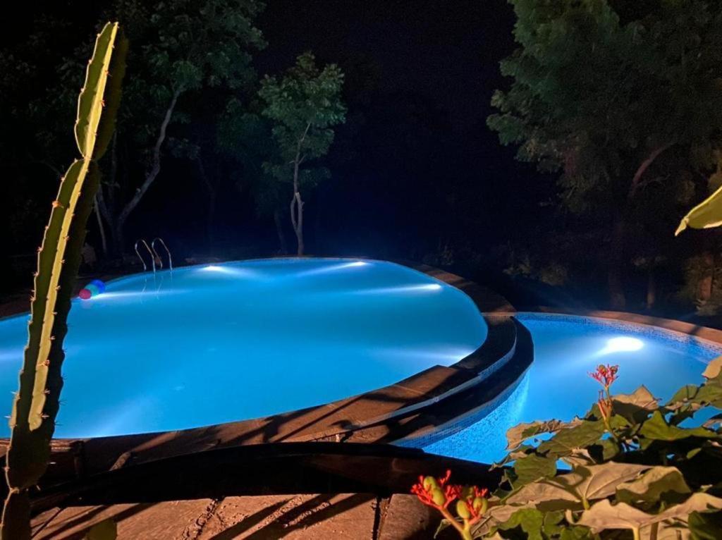 Villa Amaltas à Udaipur Extérieur photo