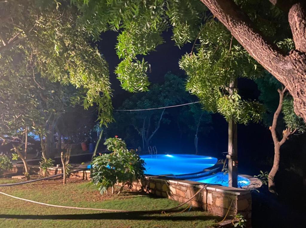 Villa Amaltas à Udaipur Extérieur photo